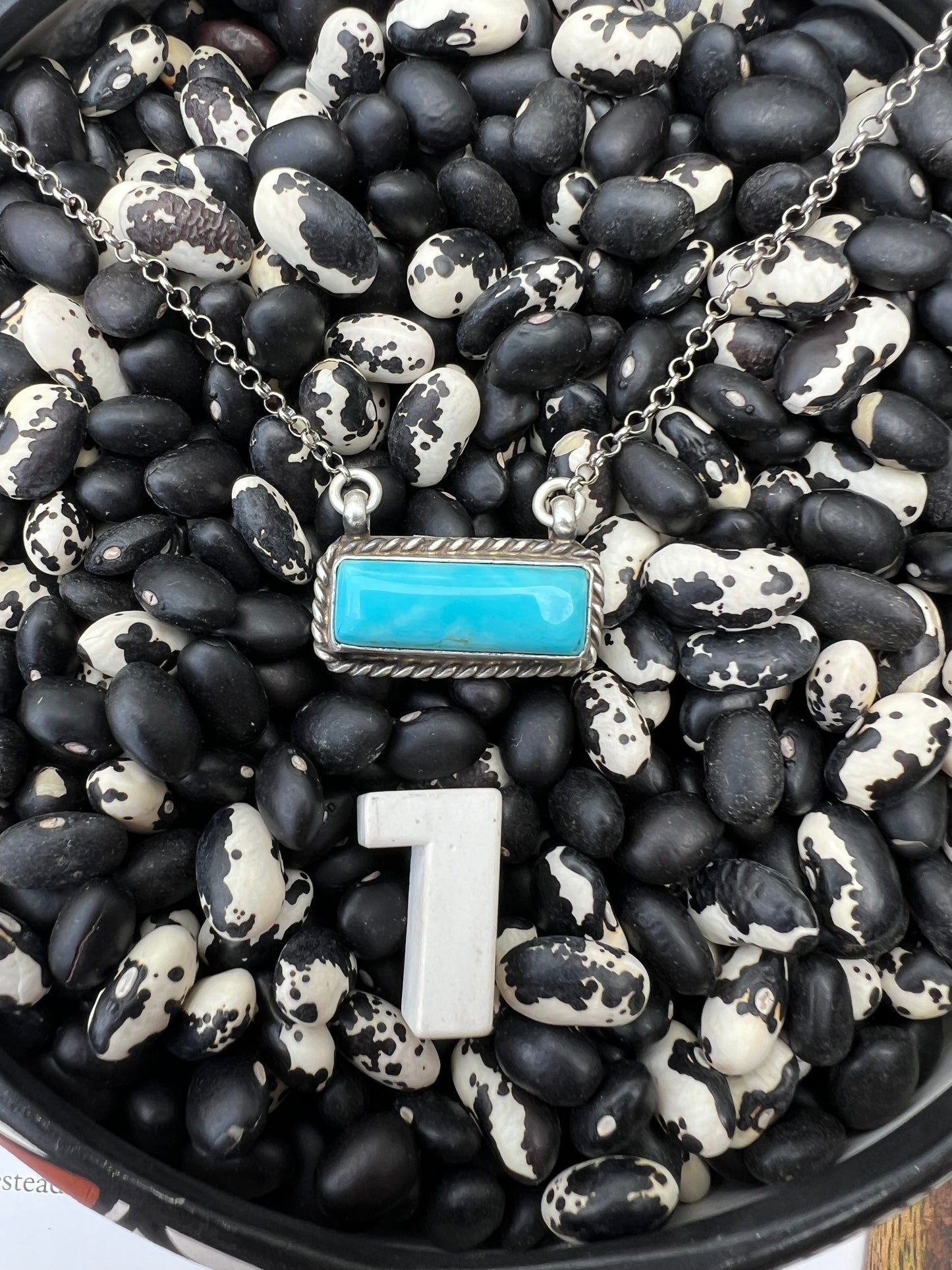 Small turquoise Mojave dahlia white Buffalo Bars