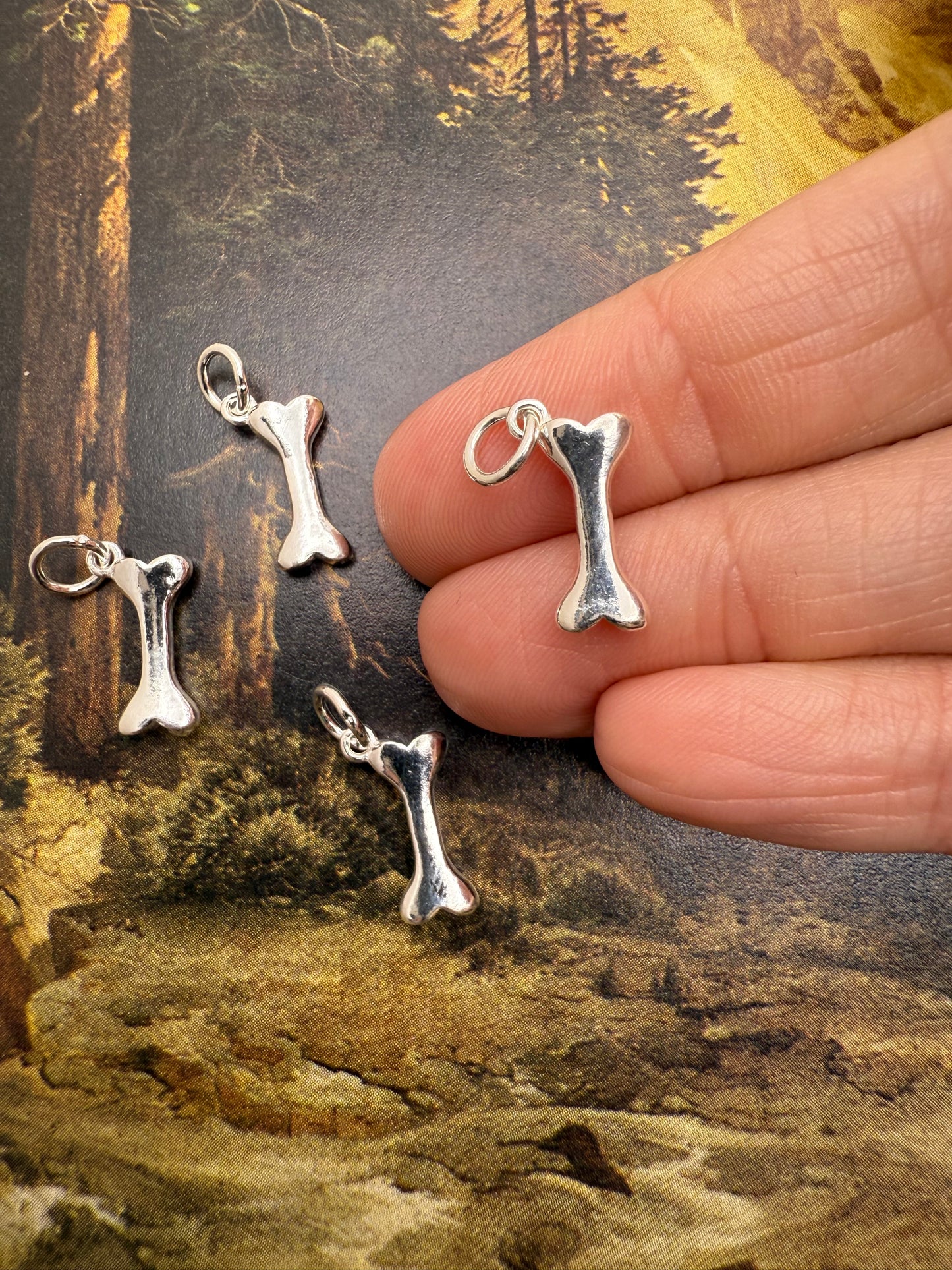Sterling Silver Charms vol Ill