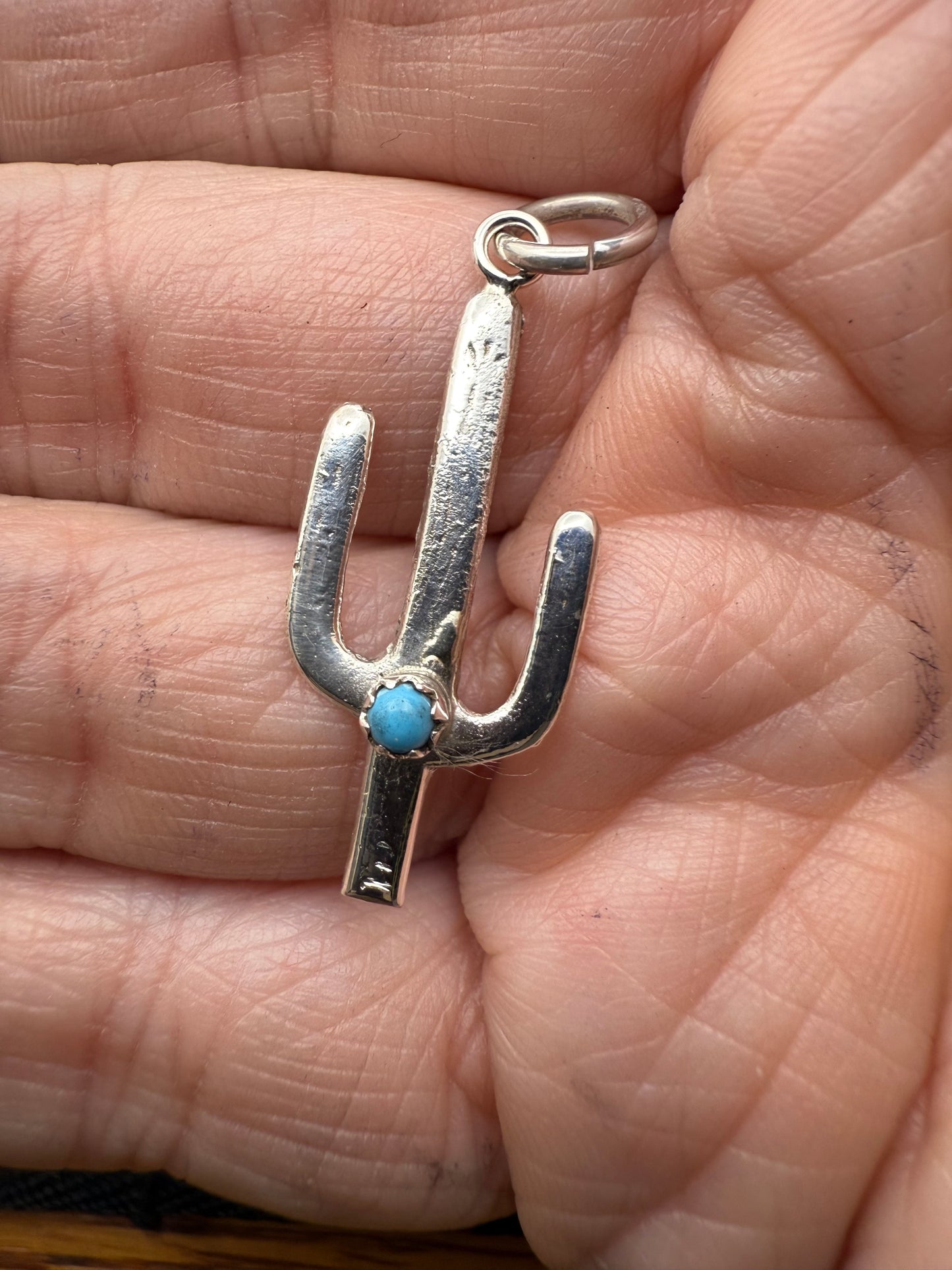 Cactus Charm with Turquoise