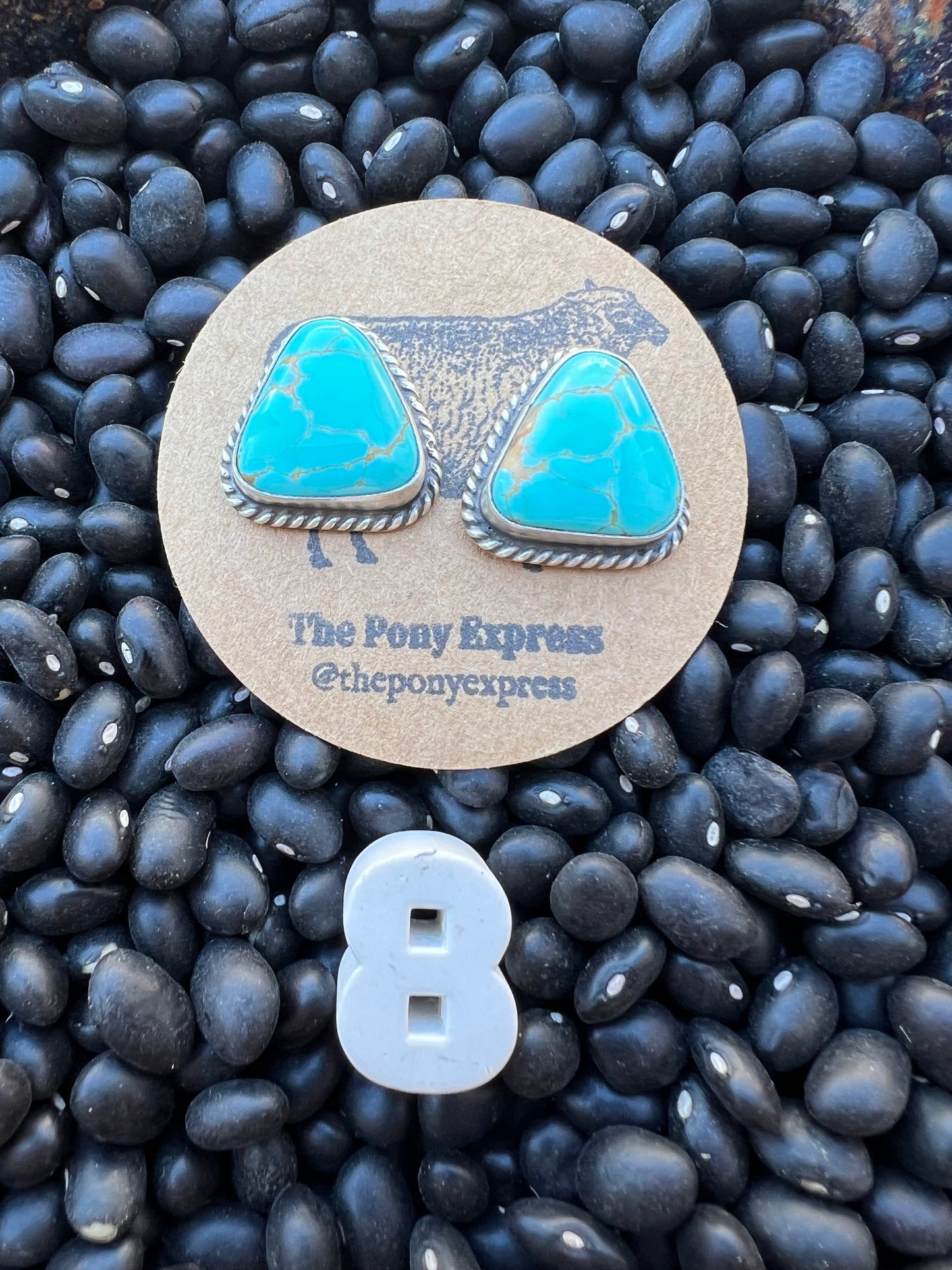 Turquoise Stud Earrings