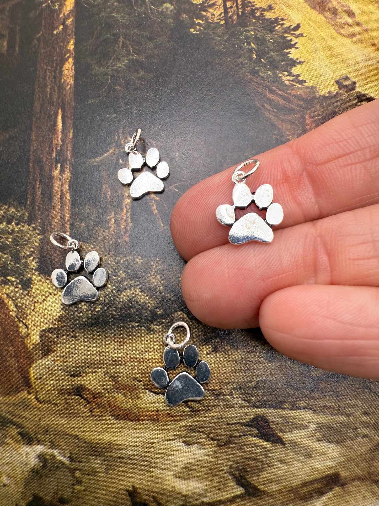 Sterling Silver Charms vol Ill