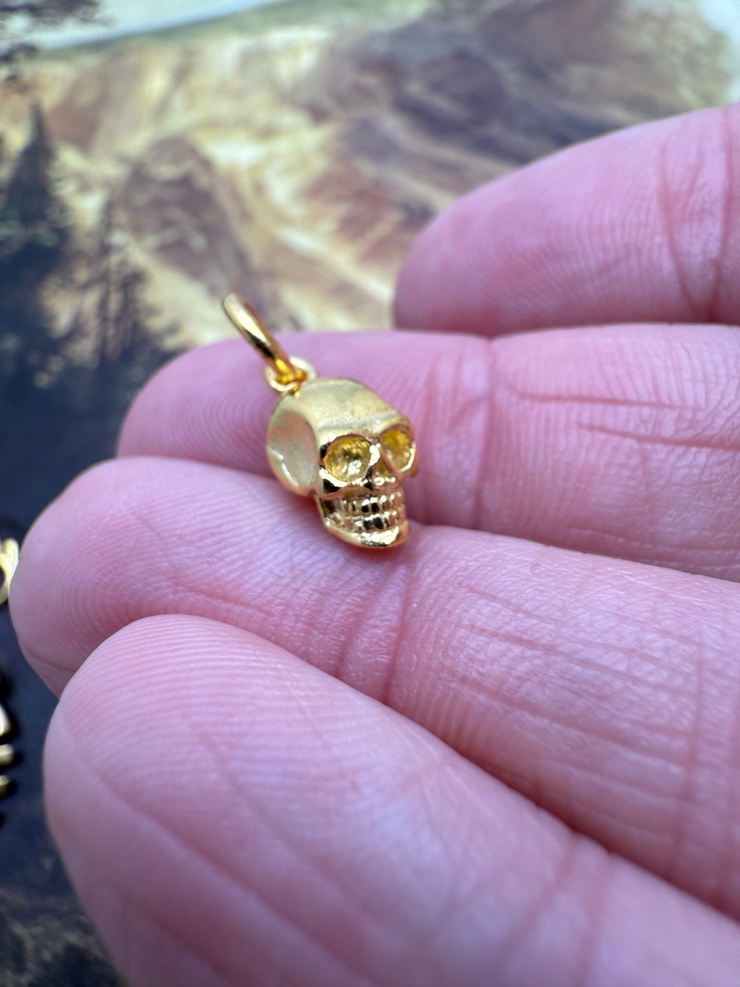 18k Gold Plated Charms