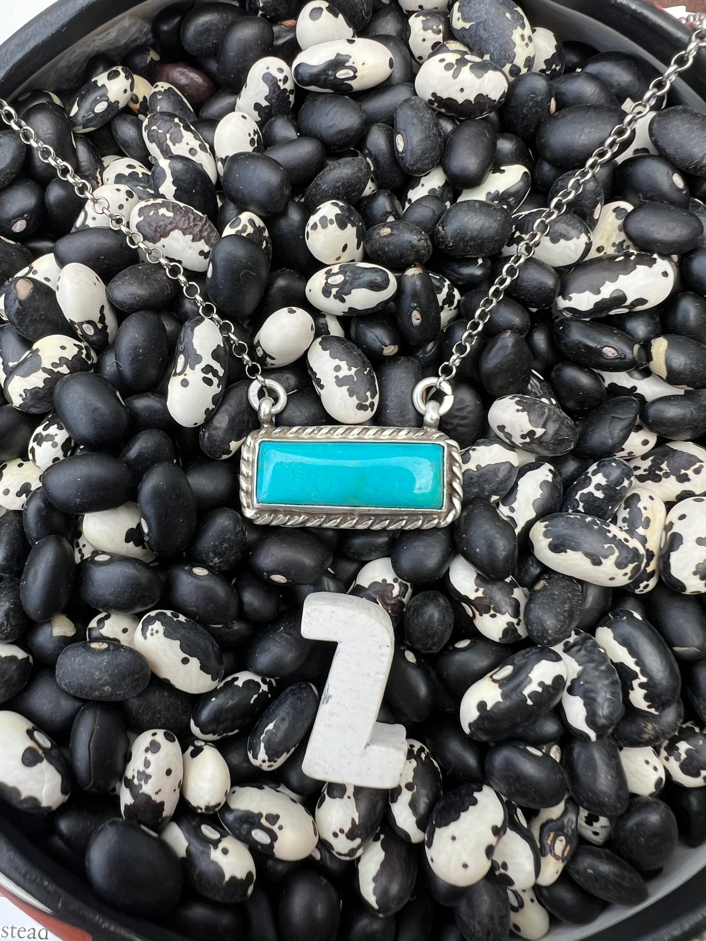Small turquoise Mojave dahlia white Buffalo Bars