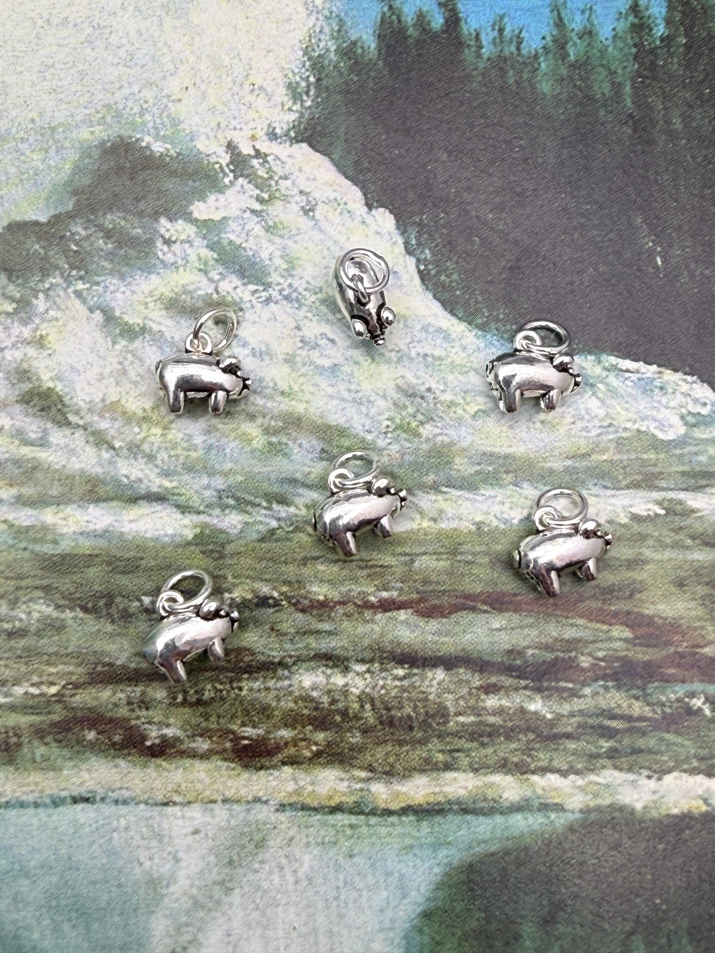 Sterling Silver Charm vol IIII