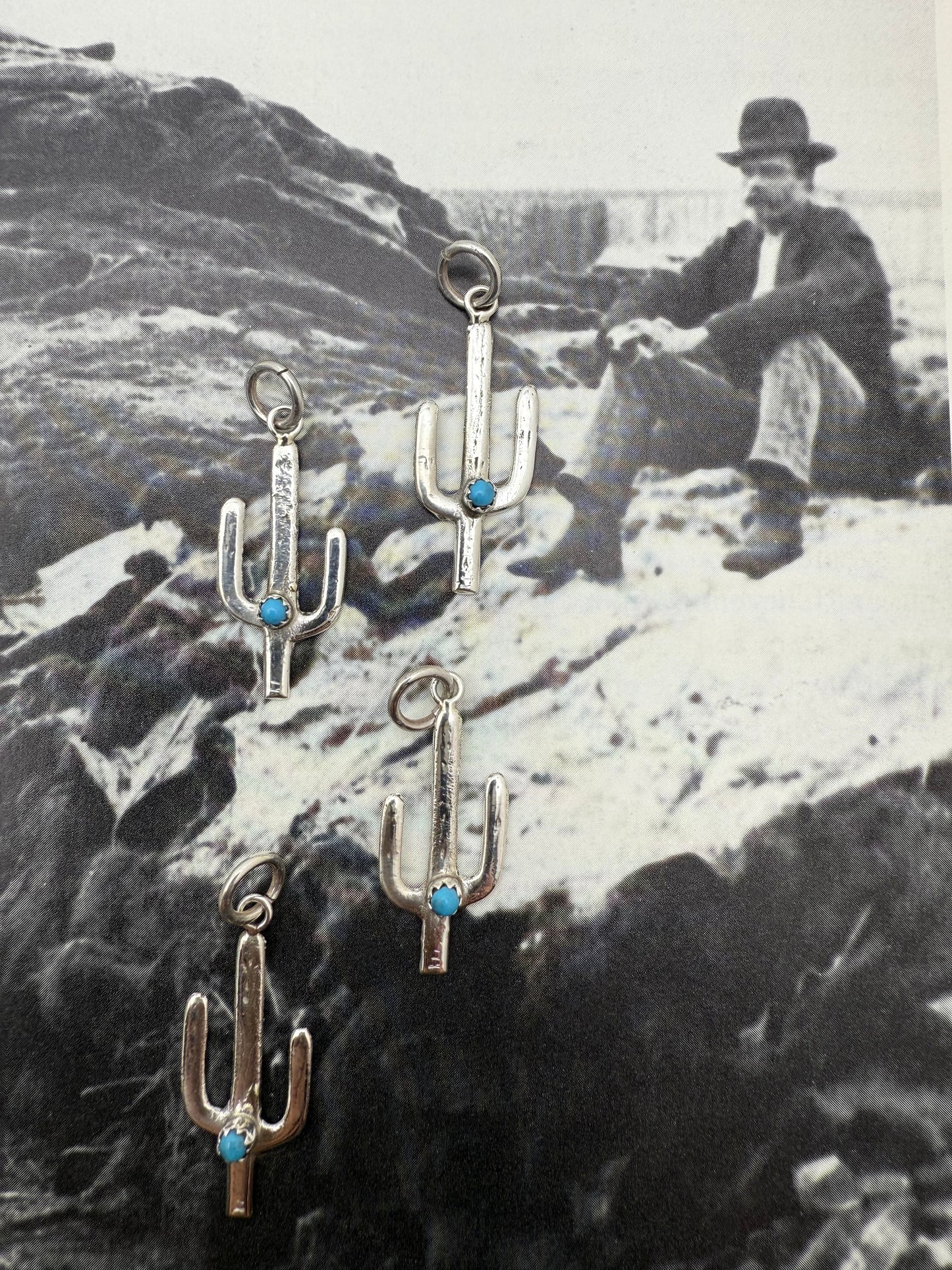 Cactus Charm with Turquoise