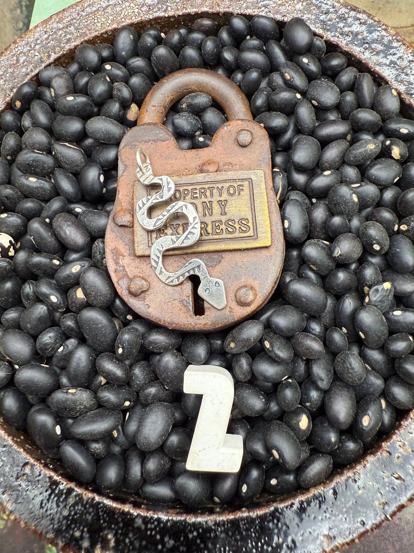 Handmade Snake Charm