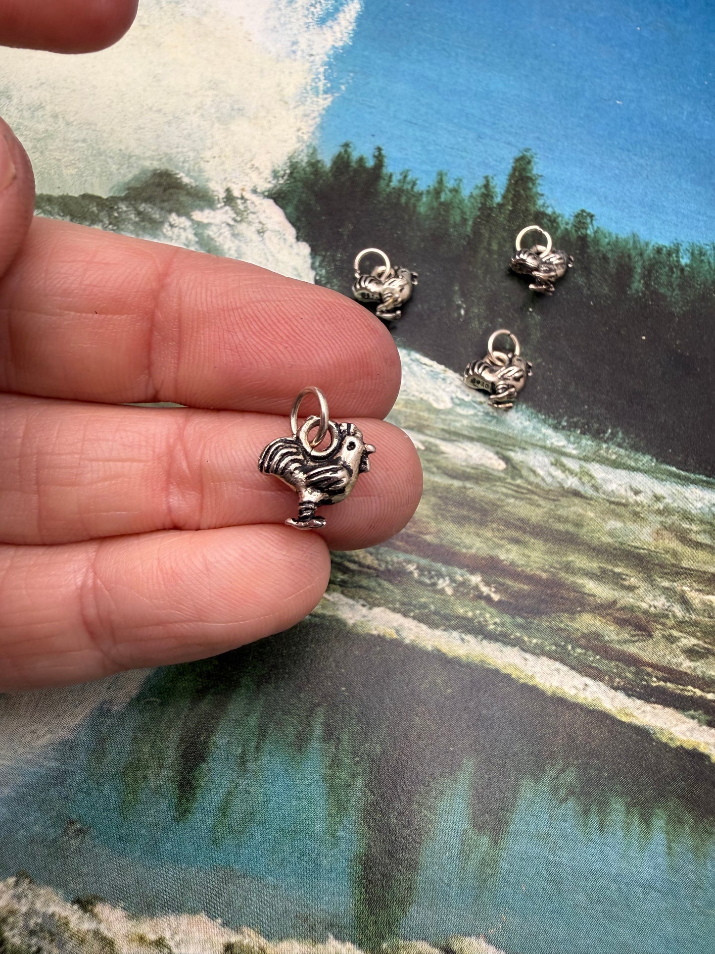 Sterling Silver Charm vol IIII