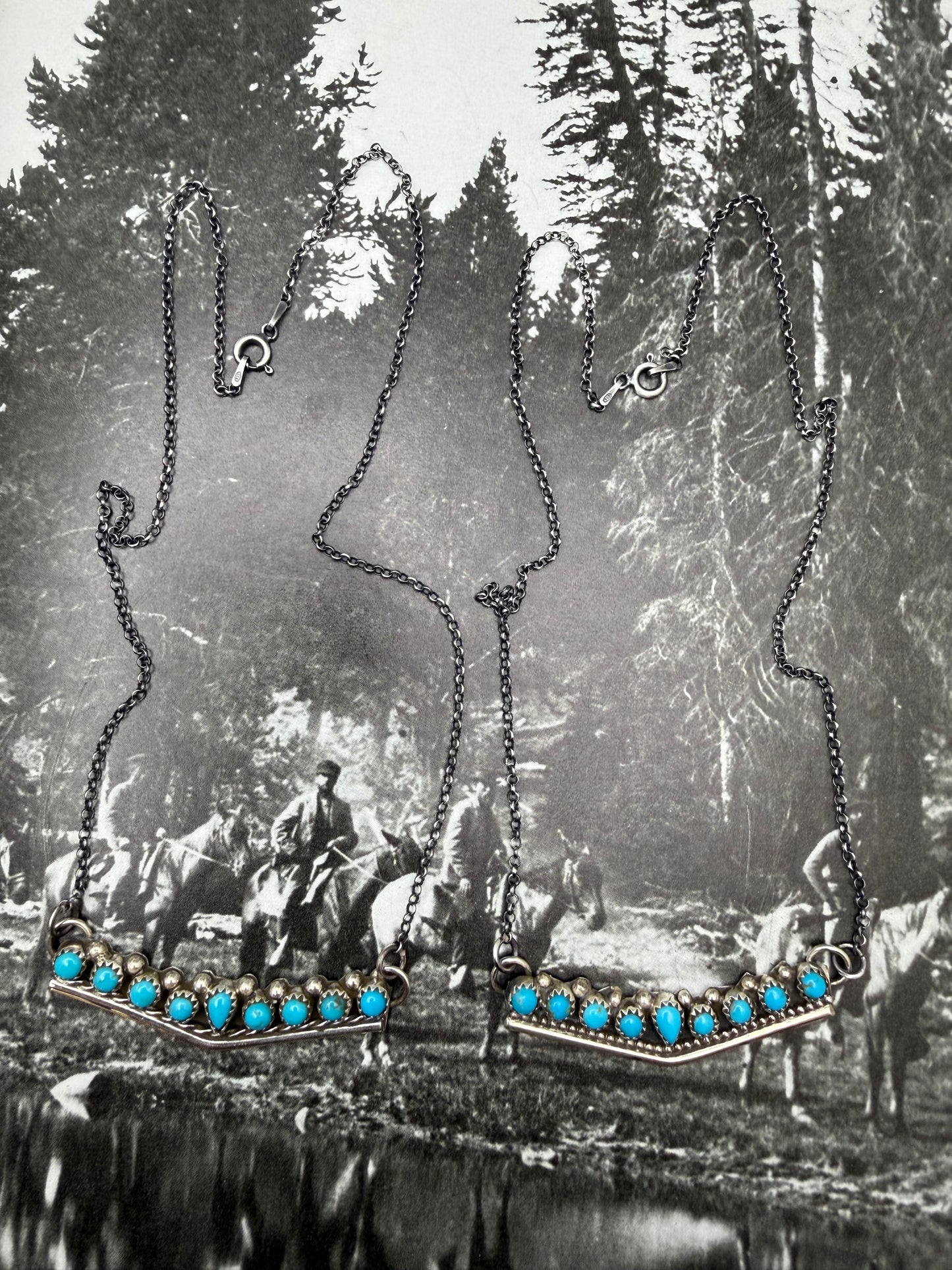 Turquoise V Necklace