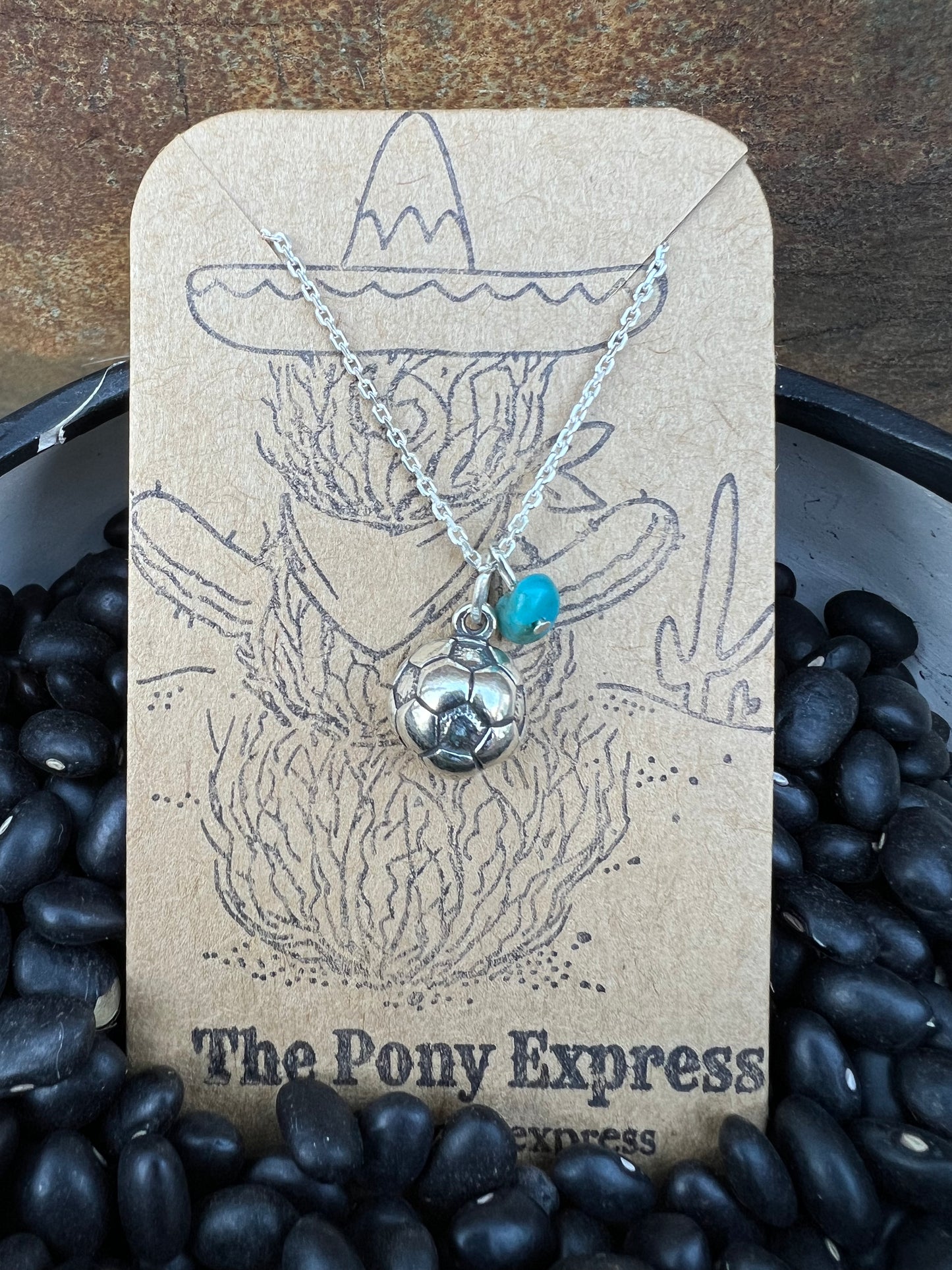 $25 Turquoise Charm Necklace