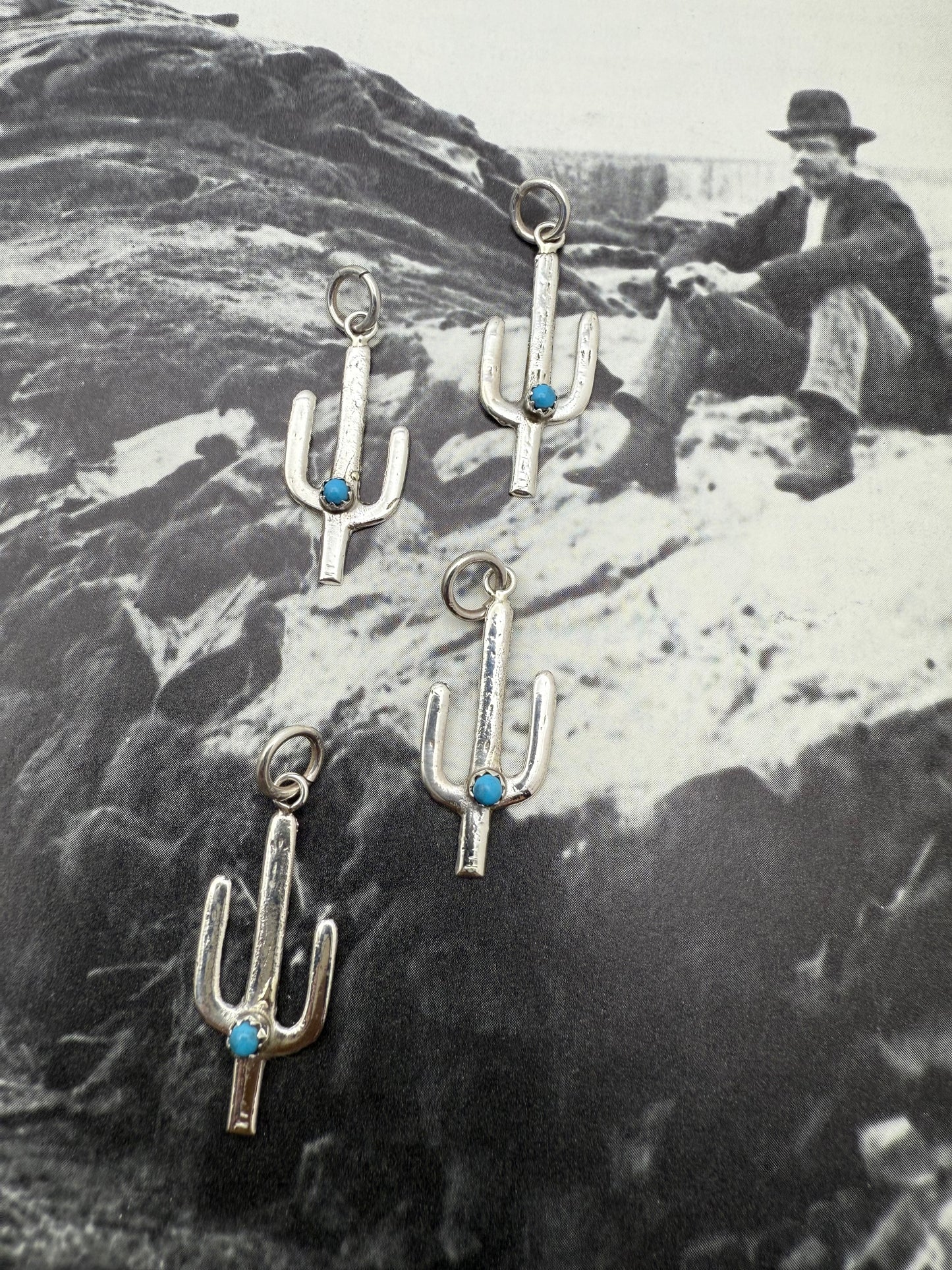 Cactus Charm with Turquoise