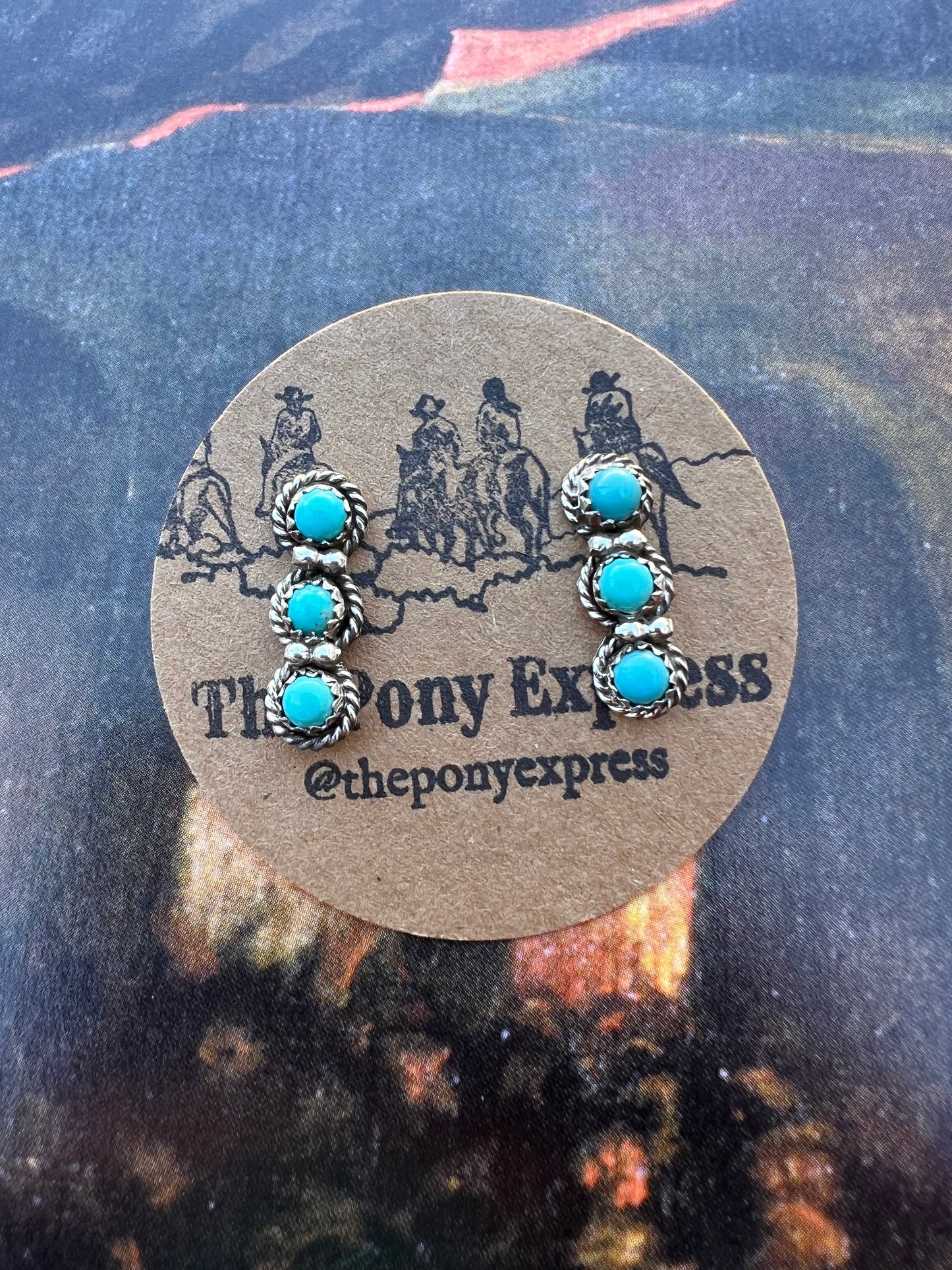 Pea Pod Turquoise Studs