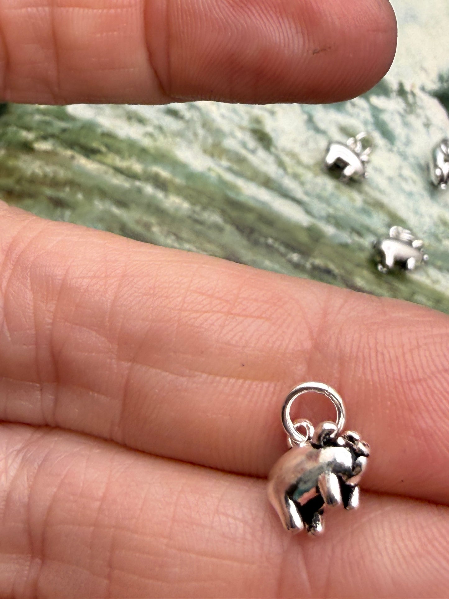 Sterling Silver Charm vol IIII