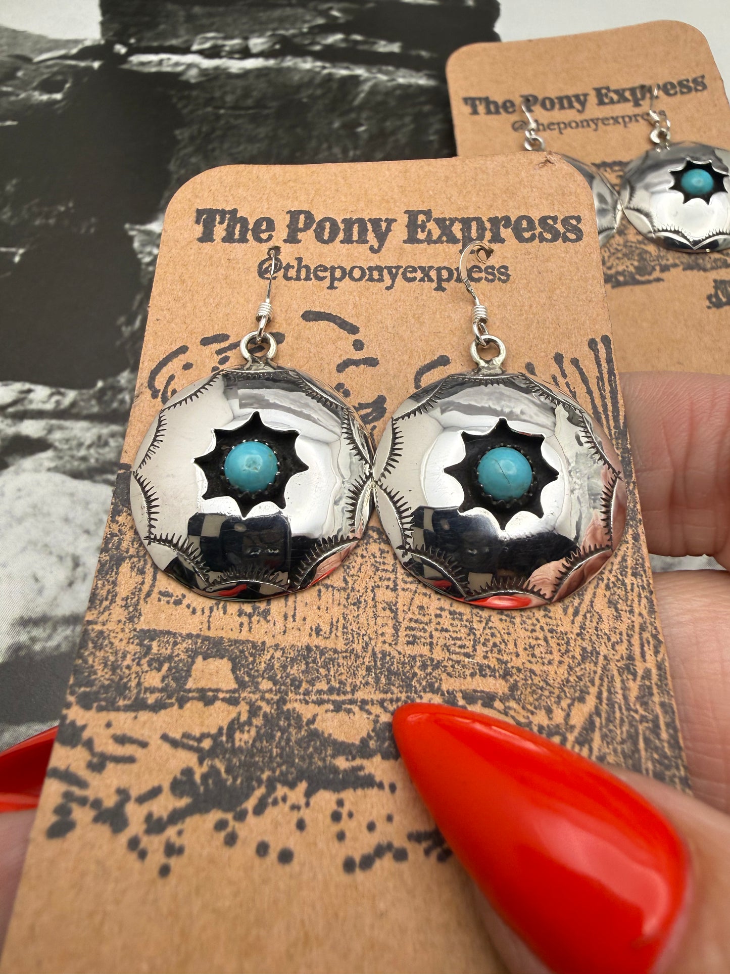 Shadowbox Dangle Earrings